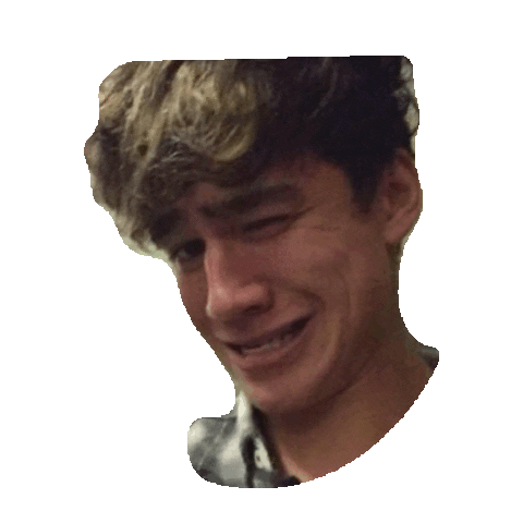 5 seconds of summer STICKER by imoji