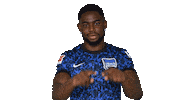 Home Bundesliga Sticker by Hertha BSC