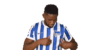 Home Bundesliga Sticker by Hertha BSC