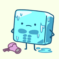Cubemelt sixpack icecube cubemelt cubemeltgif GIF