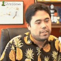 Happy Well Done GIF by Chess.com