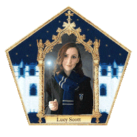 Harry Potter Sticker