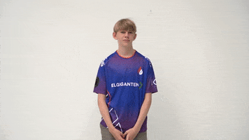 Erik No GIF by Copenhagen Flames