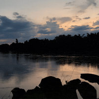 Good Morning Sunday GIF by cariowns