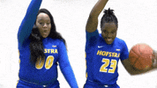 Basketball GIF by Hofstra Pride