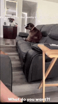 What Do You Want Family GIF by Bartini Orlando