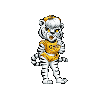 QSNgg gaming tiger qsn qsn gaming Sticker