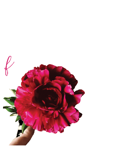 FlourishEternal gorgeous flourish peony flourishing Sticker