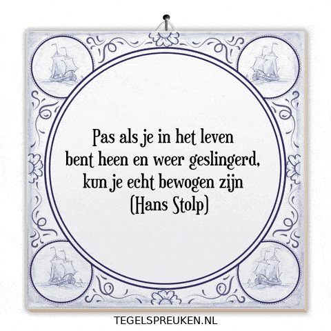 Nl Troost GIF by Tegelspreuken.nl