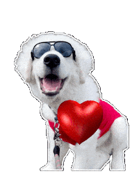 Cute Puppy Love Sticker