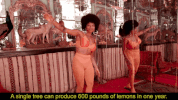 GIF by LINDSEY L33