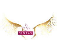 Sinpas Sticker by GifSin