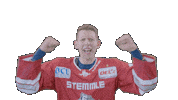 Hockey Family Sticker by Eisbären Regensburg