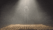 subpoprecords pride country music country cowboy GIF