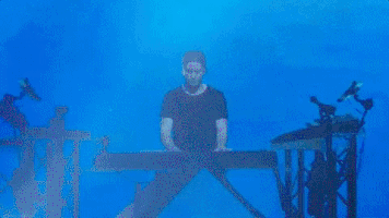 kygo GIF by The Orchard Films