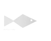 Fish Love Sticker by GMMTV