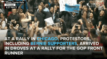 donald trump GIF