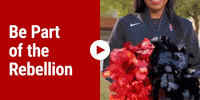 GIF by UNLV