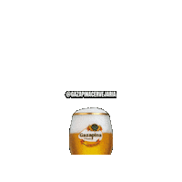 Gazapina chopp cervejaria gazapina Sticker