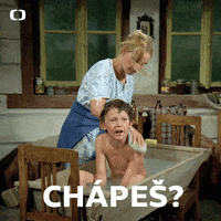 Ceskatelevize Get GIF