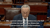 Voting Rights GIF by GIPHY News