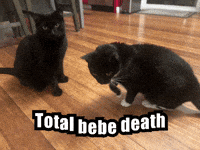 Pip GIF
