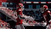 College Football GIF by Arkansas Razorbacks