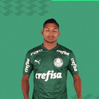 Puma Escudo GIF by SE Palmeiras