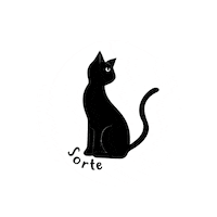 black cat halloween Sticker by Carol Fernandes