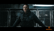 Tom Hardy Venom GIF by Regal