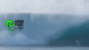 Kelly Slater Ocean GIF by Greenplace TV