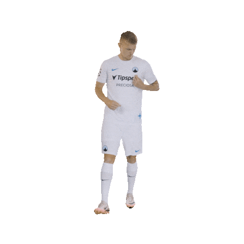 Logo Sticker by FC Slovan Liberec
