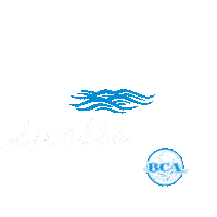 Cheerleading Swells Sticker by Beach Cheer Athletics