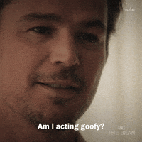 Sarcastic Season 4 GIF by The Bear
