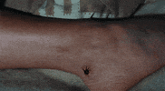 sam raimi GIF by Maudit