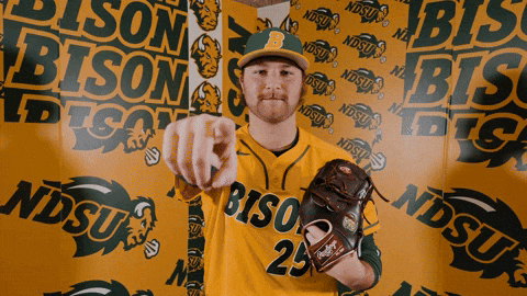 Baseball Bison GIF by NDSU Athletics
