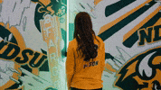 Volleyball Bison GIF by NDSU Athletics