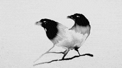 disapp GIF