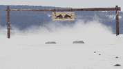 finish line snow GIF by Red Bull