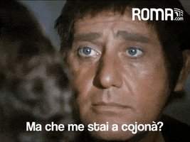 Detti Romani Mi Prendi Per Il Culo GIF by Roma.COM