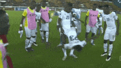 GIF by Giffffr