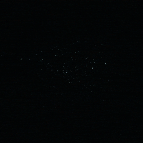 black and white falling GIF by Erica Anderson