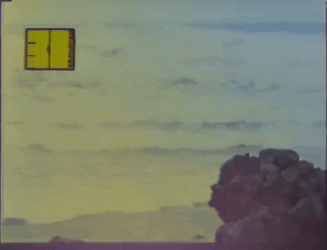 TRUMANVISUALS giphyupload retro beach 80s GIF