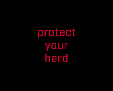 DatamarsLivestock giphyupload sheep protect herd GIF