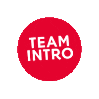 TeamIntro uitzendbureau teamintro teamintrowerkcafe teamintrologo Sticker