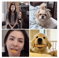 Fayeatom GIF