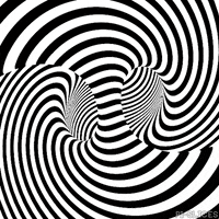 black and white loop GIF by Pi-Slices