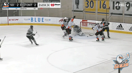 Excited Anaheim Ducks GIF by San Diego Gulls