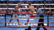 slow motion fight GIF by SHOWTIME Sports