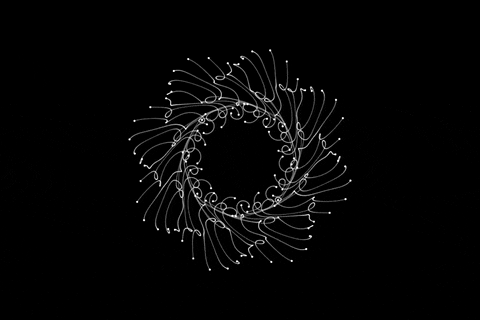 yymessapps giphyupload GIF